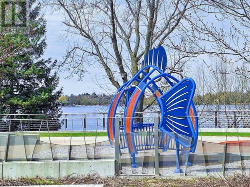 105 Anchusa Drive, Richmond Hill, ON - Outdoor