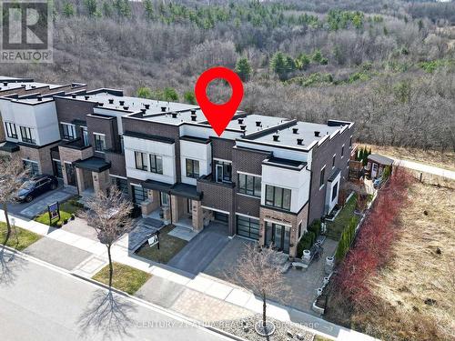 105 Anchusa Drive, Richmond Hill, ON - Outdoor