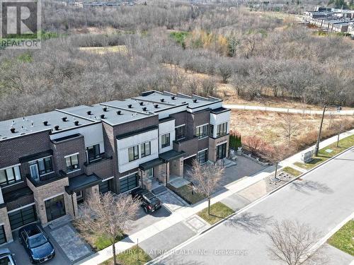 105 Anchusa Drive, Richmond Hill, ON - Outdoor