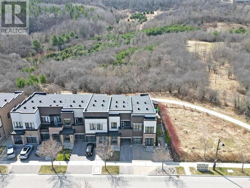 105 Anchusa Drive, Richmond Hill, ON - Outdoor With View