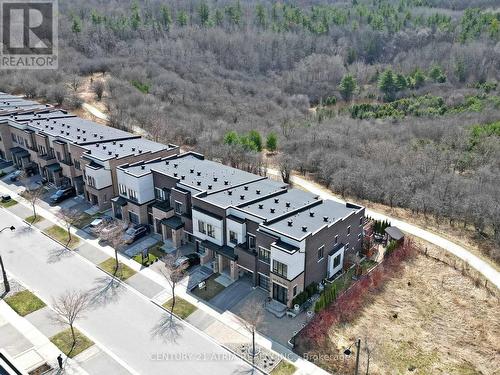 105 Anchusa Drive, Richmond Hill, ON - Outdoor With View