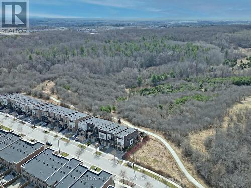 105 Anchusa Drive, Richmond Hill, ON - Outdoor With View