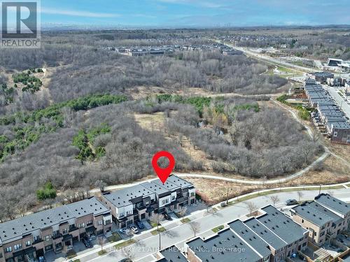 105 Anchusa Drive, Richmond Hill, ON - Outdoor With View