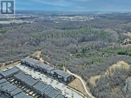 105 Anchusa Drive, Richmond Hill, ON - Outdoor With View