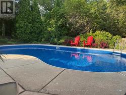 Backyard: Relaxing Pool Day! - 