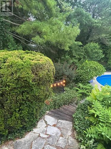 Backyard - 88 Salem Court, London South (South P), ON - Outdoor With In Ground Pool