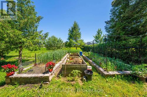 18 Wolford Court, Georgina, ON - Outdoor