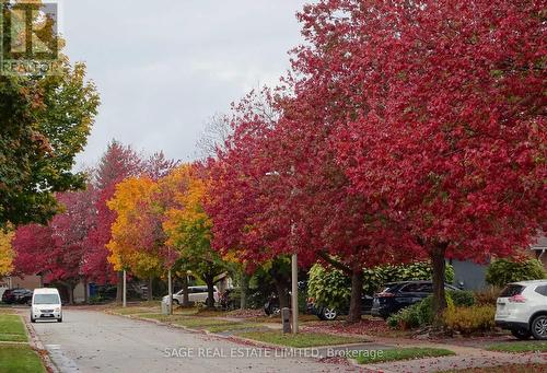 3036 Swansea Drive, Oakville, ON - Outdoor