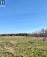 N/A TRACEYS HILL ROAD Kawartha Lakes (Emily), ON K9V 4R5