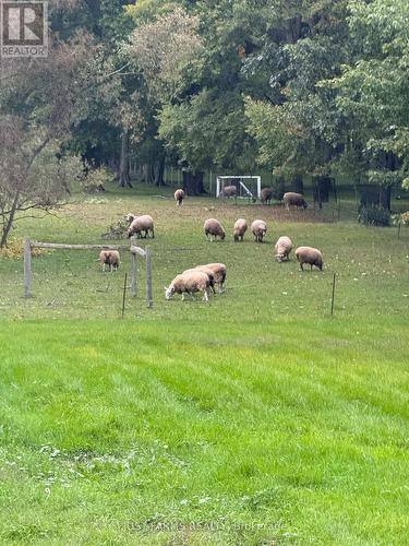 612 Trillium Drive, Southwest Middlesex, ON - Outdoor