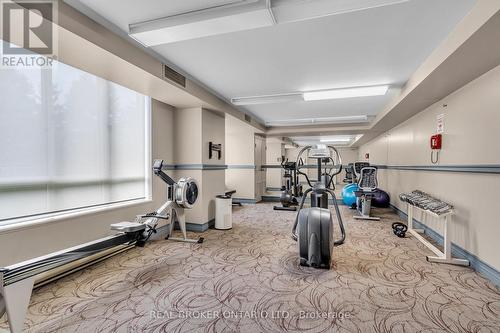 Fitness Centre - 703 - 100 Grant Carman Drive, Ottawa, ON - Indoor Photo Showing Gym Room