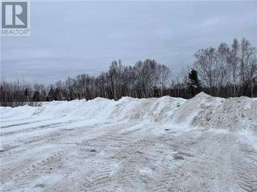 3650 Errington Avenue, Chelmsford, ON - Outdoor With View