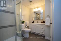 Lower Level 3 pc bath - 