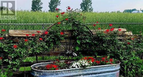 874 Monarch Road, Kawartha Lakes (Lindsay), ON - Outdoor