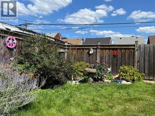 perennial pollinator garden - 261 Prospect Street S, Hamilton, ON - Outdoor