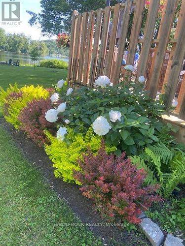 49 Cooke Armstrong Road, Quinte West (Sidney Ward), ON - Outdoor