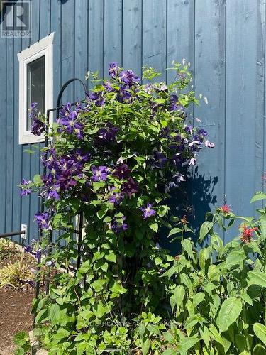 49 Cooke Armstrong Road, Quinte West (Sidney Ward), ON - Outdoor