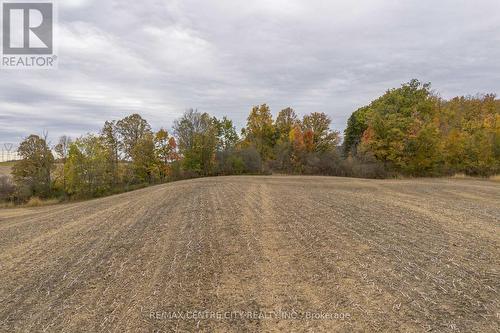 5300 Hwy 6, Haldimand, ON 