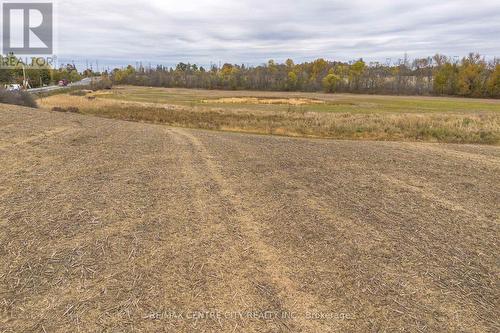 5300 Hwy 6, Haldimand, ON 