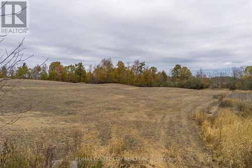 5300 Highway 6, Haldimand, ON 