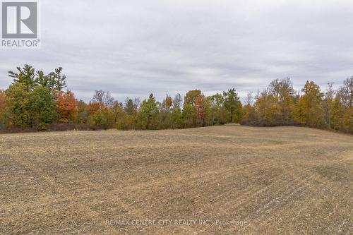 5300 Highway 6, Haldimand, ON 