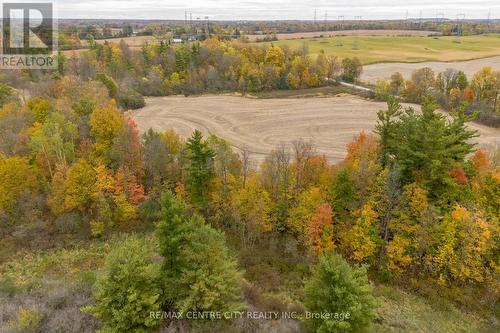 5300 Highway 6, Haldimand, ON 