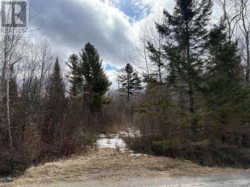 2035 Ventnor Road, Edwardsburgh/Cardinal, ON 