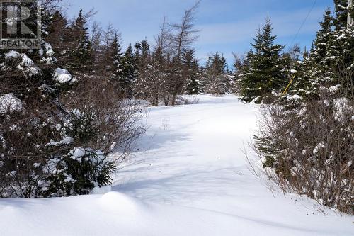 0 River Rd, Blaketown, NL 