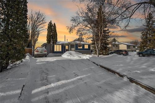 Be sure to watch the video tour - 46 Donan Street, Winnipeg, MB - Outdoor