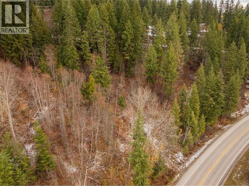 3605 Highway 3A & 6 Road, South Slocan, BC 