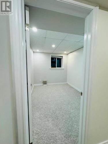 Bsmnt - 246 Doubtfire Crescent, Markham, ON - Indoor