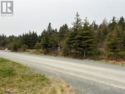 28-30 Wall's Road  Pouch Cove, NL A0A 3L0