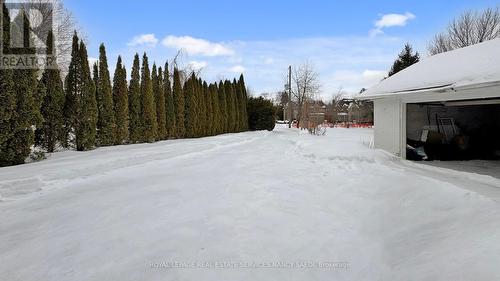 78 Arjay Crescent, Toronto, ON - Outdoor