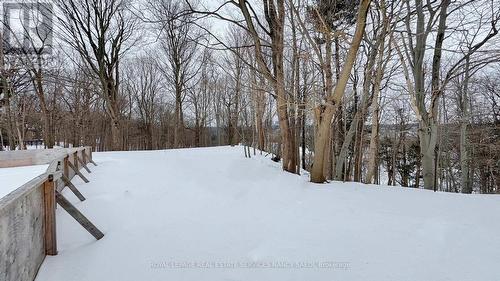 78 Arjay Crescent, Toronto, ON - Outdoor With View