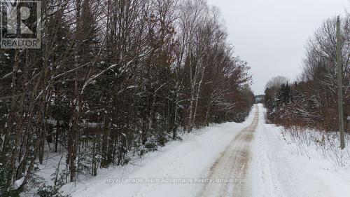 0 Lakeview Drive E, Ryerson, ON 