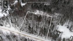 0 LAKEVIEW DRIVE E  Ryerson, ON P0A 1C0