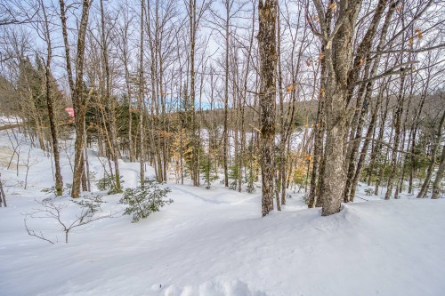 Terre/Terrain - Ch. Jackson, Wentworth-Nord, QC 