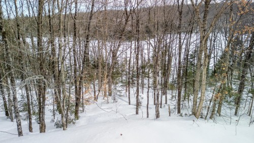 Terre/Terrain - Ch. Jackson, Wentworth-Nord, QC 