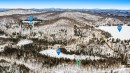 Terre/Terrain - Ch. Des Marronniers, Saint-Adolphe-D'Howard, QC 