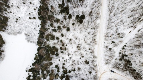 Terre/Terrain - Ch. Des Marronniers, Saint-Adolphe-D'Howard, QC 