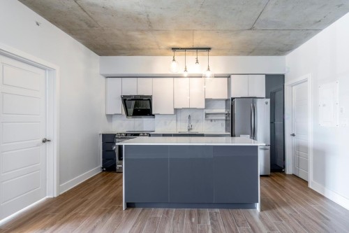 Cuisine - 308-850 Rue Ouimet, Montréal (Saint-Laurent), QC - Indoor Photo Showing Kitchen