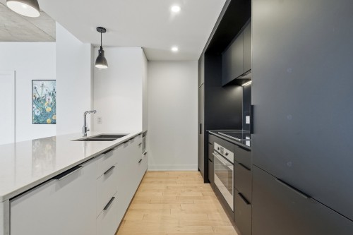 Cuisine - 2010-60 Rue De L'Éclipse, Brossard, QC - Indoor Photo Showing Kitchen With Double Sink