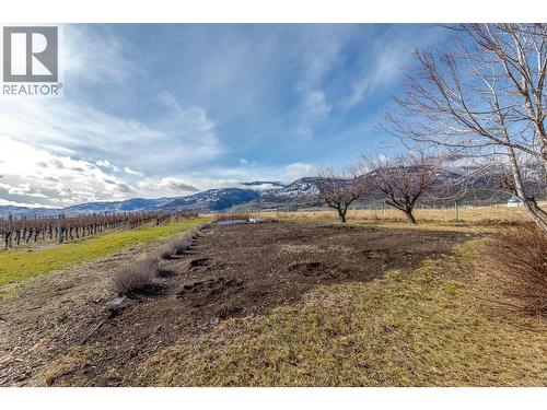 445 Road 5, Oliver, BC - Outdoor With View