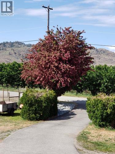 445 Road 5, Oliver, BC - Outdoor With View