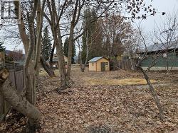 94 1st   NW Avenue  Nakusp, BC V0G 1R0