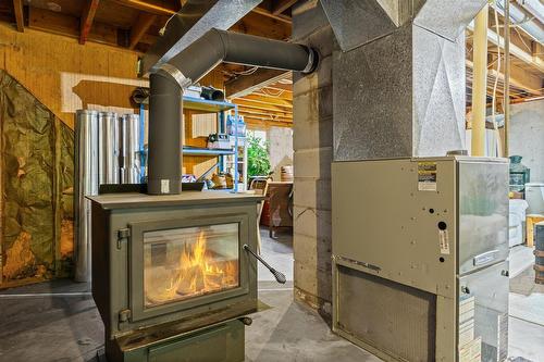 9950 Nelson Road|Rosedale, Rosedale, BC - Indoor Photo Showing Basement