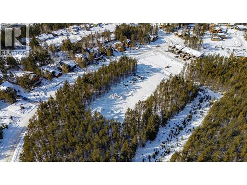 1424 Granite Drive, Golden, BC 