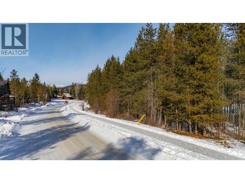 1424 Granite Drive, Golden, BC 