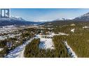 1424 Granite Drive, Golden, BC 