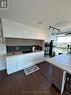 1503 - 219 Fort York Boulevard, Toronto, ON  - Indoor Photo Showing Kitchen 